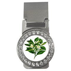 Bitter Branch Citrus Edible Floral Money Clips (cz)  by Nexatart