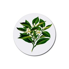 Bitter Branch Citrus Edible Floral Rubber Round Coaster (4 Pack)  by Nexatart