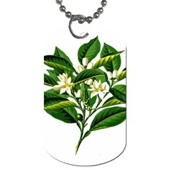 Bitter Branch Citrus Edible Floral Dog Tag (two Sides)