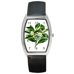 Bitter Branch Citrus Edible Floral Barrel Style Metal Watch by Nexatart