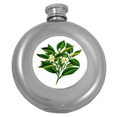 Bitter Branch Citrus Edible Floral Round Hip Flask (5 Oz) by Nexatart