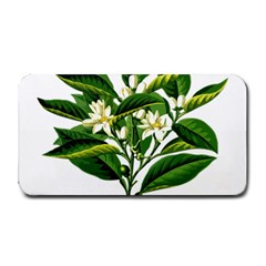 Bitter Branch Citrus Edible Floral Medium Bar Mats by Nexatart