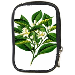 Bitter Branch Citrus Edible Floral Compact Camera Cases by Nexatart