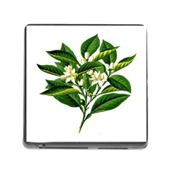 Bitter Branch Citrus Edible Floral Memory Card Reader (square) by Nexatart