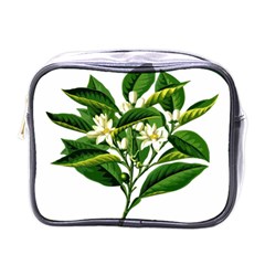 Bitter Branch Citrus Edible Floral Mini Toiletries Bags by Nexatart