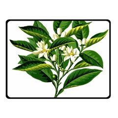 Bitter Branch Citrus Edible Floral Fleece Blanket (small) by Nexatart