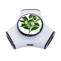 Bitter Branch Citrus Edible Floral 3-port Usb Hub by Nexatart