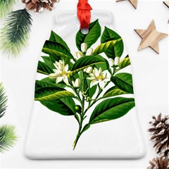 Bitter Branch Citrus Edible Floral Bell Ornament (two Sides) by Nexatart