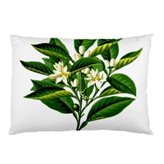 Bitter Branch Citrus Edible Floral Pillow Case (two Sides) by Nexatart