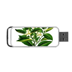 Bitter Branch Citrus Edible Floral Portable Usb Flash (two Sides) by Nexatart