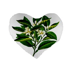 Bitter Branch Citrus Edible Floral Standard 16  Premium Heart Shape Cushions by Nexatart