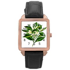 Bitter Branch Citrus Edible Floral Rose Gold Leather Watch  by Nexatart