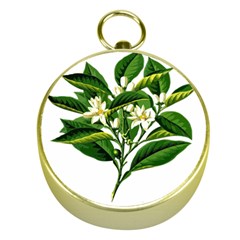 Bitter Branch Citrus Edible Floral Gold Compasses by Nexatart