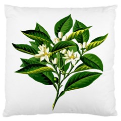 Bitter Branch Citrus Edible Floral Large Flano Cushion Case (one Side) by Nexatart