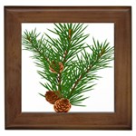 Branch Floral Green Nature Pine Framed Tiles Front