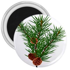 Branch Floral Green Nature Pine 3  Magnets by Nexatart