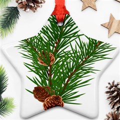 Branch Floral Green Nature Pine Ornament (star) by Nexatart