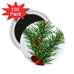 Branch Floral Green Nature Pine 2 25  Magnets (100 Pack)  by Nexatart