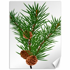 Branch Floral Green Nature Pine Canvas 36  X 48   by Nexatart