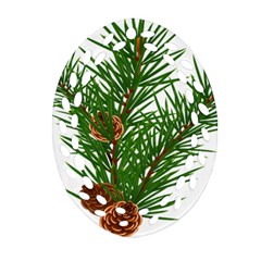 Branch Floral Green Nature Pine Oval Filigree Ornament (two Sides) by Nexatart