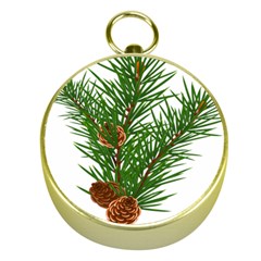 Branch Floral Green Nature Pine Gold Compasses by Nexatart