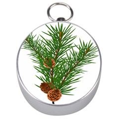 Branch Floral Green Nature Pine Silver Compasses by Nexatart