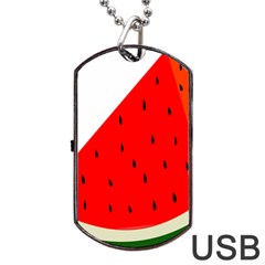 Fruit Harvest Slice Summer Dog Tag Usb Flash (one Side) by Nexatart