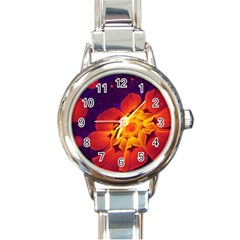 Royal Blue, Red, And Yellow Fractal Gerbera Daisy Round Italian Charm Watch by jayaprime