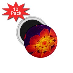 Royal Blue, Red, And Yellow Fractal Gerbera Daisy 1 75  Magnets (10 Pack)  by jayaprime