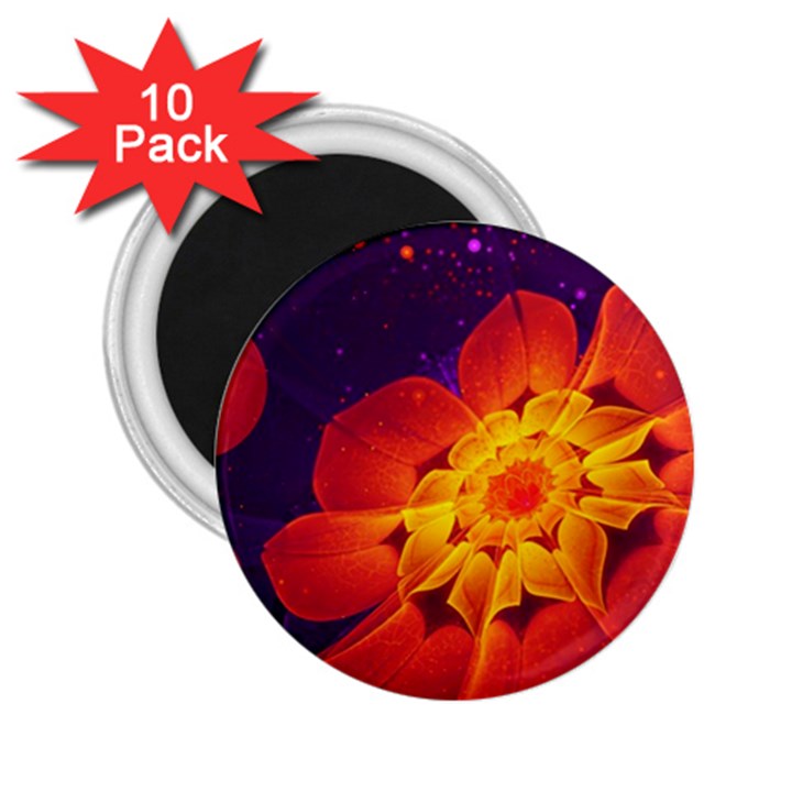 Royal Blue, Red, and Yellow Fractal Gerbera Daisy 2.25  Magnets (10 pack) 