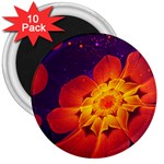 Royal Blue, Red, and Yellow Fractal Gerbera Daisy 3  Magnets (10 pack)  Front