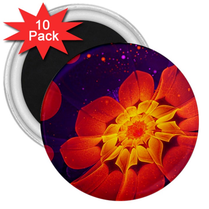 Royal Blue, Red, and Yellow Fractal Gerbera Daisy 3  Magnets (10 pack) 