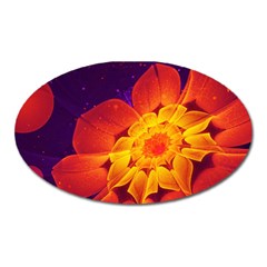 Royal Blue, Red, And Yellow Fractal Gerbera Daisy Oval Magnet by jayaprime