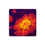 Royal Blue, Red, and Yellow Fractal Gerbera Daisy Square Magnet Front