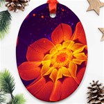 Royal Blue, Red, and Yellow Fractal Gerbera Daisy Oval Ornament (Two Sides) Back