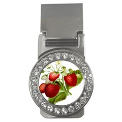 Food Fruit Leaf Leafy Leaves Money Clips (cz)  by Nexatart