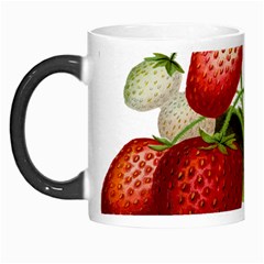 Food Fruit Leaf Leafy Leaves Morph Mugs by Nexatart