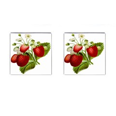 Food Fruit Leaf Leafy Leaves Cufflinks (square) by Nexatart