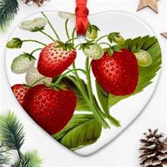 Food Fruit Leaf Leafy Leaves Heart Ornament (two Sides) by Nexatart