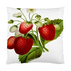 Food Fruit Leaf Leafy Leaves Standard Cushion Case (two Sides) by Nexatart