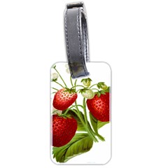 Food Fruit Leaf Leafy Leaves Luggage Tags (two Sides) by Nexatart