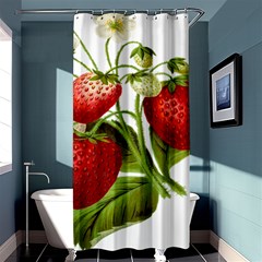 Food Fruit Leaf Leafy Leaves Shower Curtain 36  X 72  (stall)  by Nexatart