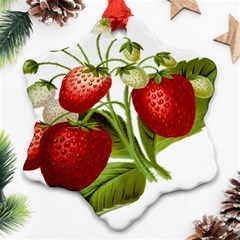 Food Fruit Leaf Leafy Leaves Ornament (snowflake) by Nexatart