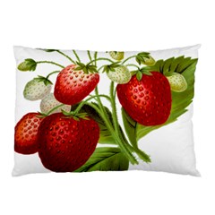 Food Fruit Leaf Leafy Leaves Pillow Case (two Sides) by Nexatart