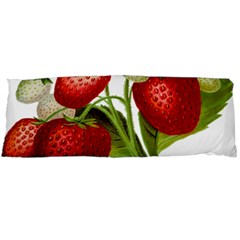 Food Fruit Leaf Leafy Leaves Body Pillow Case (dakimakura) by Nexatart