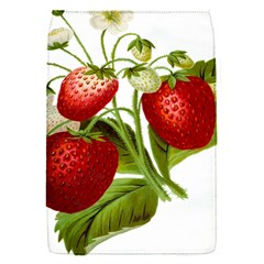 Food Fruit Leaf Leafy Leaves Flap Covers (s)  by Nexatart