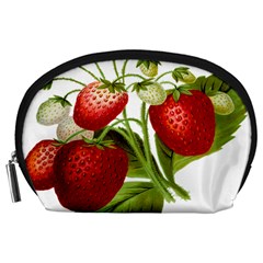 Food Fruit Leaf Leafy Leaves Accessory Pouches (large)  by Nexatart