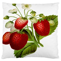 Food Fruit Leaf Leafy Leaves Standard Flano Cushion Case (two Sides) by Nexatart