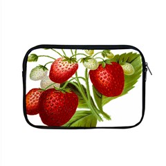 Food Fruit Leaf Leafy Leaves Apple Macbook Pro 15  Zipper Case by Nexatart