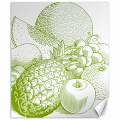 Fruits Vintage Food Healthy Retro Canvas 20  X 24   by Nexatart